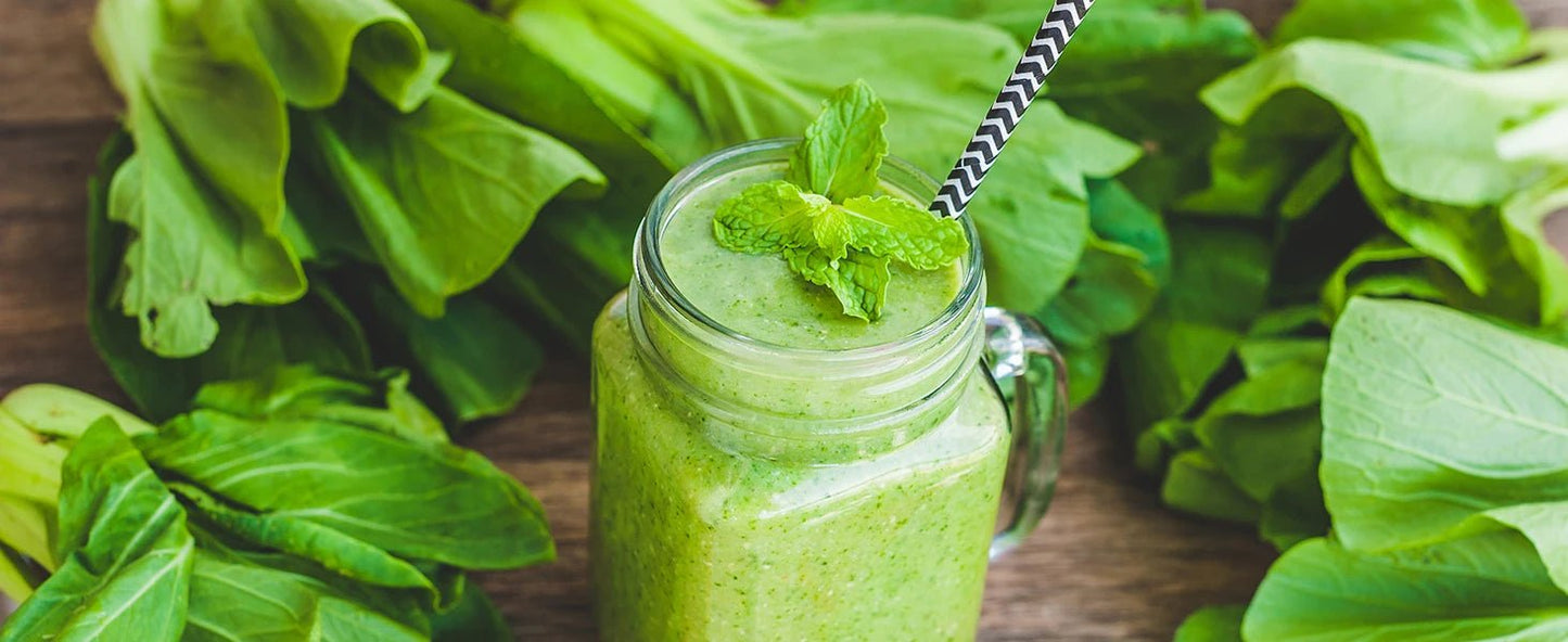 BioloMix 3HP 2200W Blender | Heavy Duty Juicer for Smoothies - My Web Bazaar