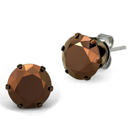 Elegant TK2589 Two Tone Stainless Steel Earrings with CZ - My Web Bazaar