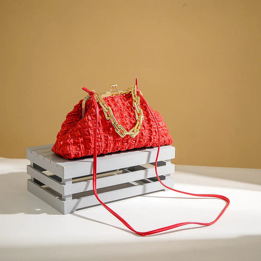 Elegant Ladies Pleated Handbags | Stylish Accessory for All Occasions - My Web Bazaar